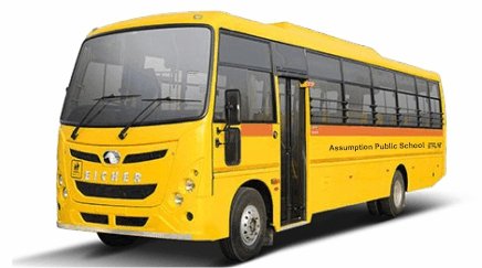 Transport Buses